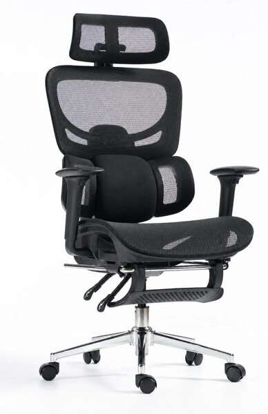 ErgoVanta Mesh — Scaun ergonomic, Suport lombar reglabil, Tetieră 2D, Cotiere reglabile, Mecanism cu blocare, Suport pentru picioare retractabil, Mesh, Negru