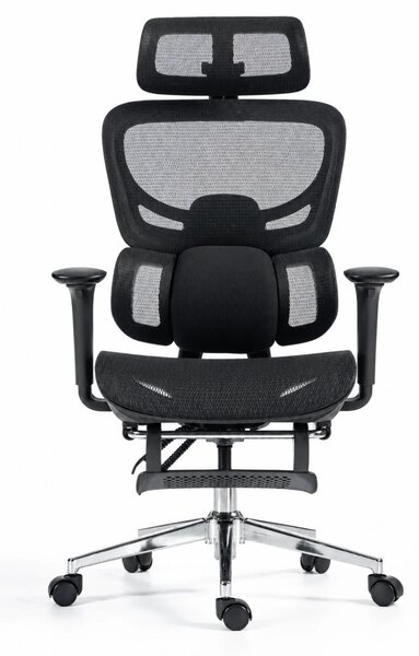 ErgoVanta Mesh — Scaun ergonomic, Suport lombar reglabil, Tetieră 2D, Cotiere reglabile, Mecanism cu blocare, Suport pentru picioare retractabil, Mesh, Negru