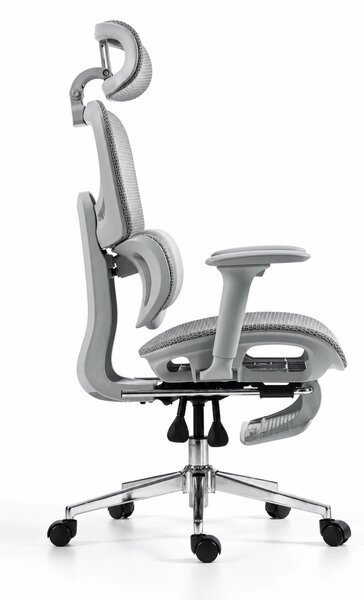ErgoVanta Mesh — Scaun ergonomic, Suport lombar reglabil, Tetieră 2D, Cotiere reglabile, Mecanism cu blocare, Suport pentru picioare retractabil, Mesh, Gri