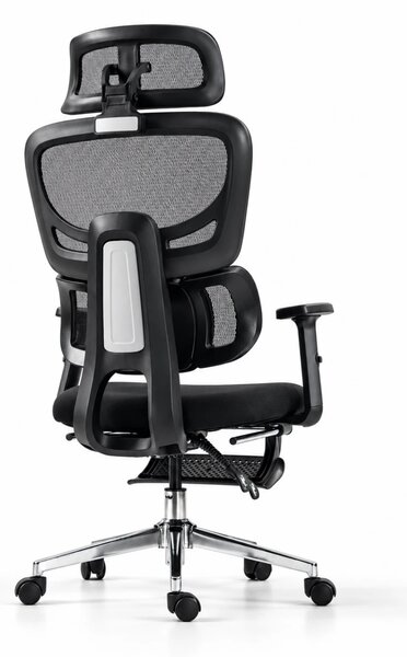 ErgoVanta — Scaun ergonomic, Spătar din Mesh, Suport lombar reglabil, Șezut buretat, Tetieră 2D, Cotiere reglabile, Mecanism cu blocare, Suport pentru picioare retractabil, Negru