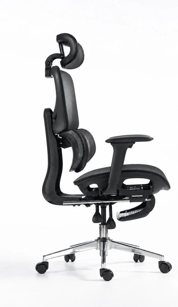 ErgoVanta Mesh — Scaun ergonomic, Suport lombar reglabil, Tetieră 2D, Cotiere reglabile, Mecanism cu blocare, Suport pentru picioare retractabil, Mesh, Negru