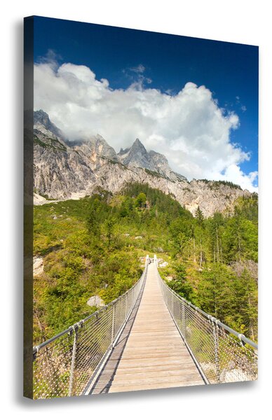 Print pe canvas Pod suspendat