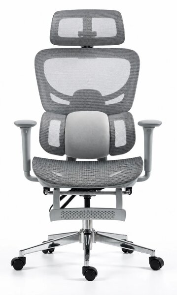 ErgoVanta Mesh — Scaun ergonomic, Suport lombar reglabil, Tetieră 2D, Cotiere reglabile, Mecanism cu blocare, Suport pentru picioare retractabil, Mesh, Gri
