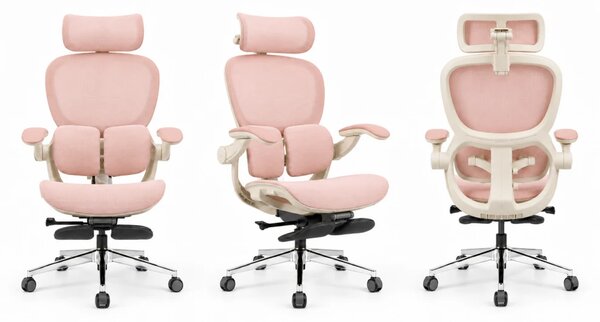 Scaun ergonomic ANEW ARYSE D5, Suport lombar dual 360°, Tetieră 4D, Șezut Zero-Pressure Frameless Mesh, Cotiere Flip-Back 4 poziții, Reclinare 135°, Suport picioare, Roz
