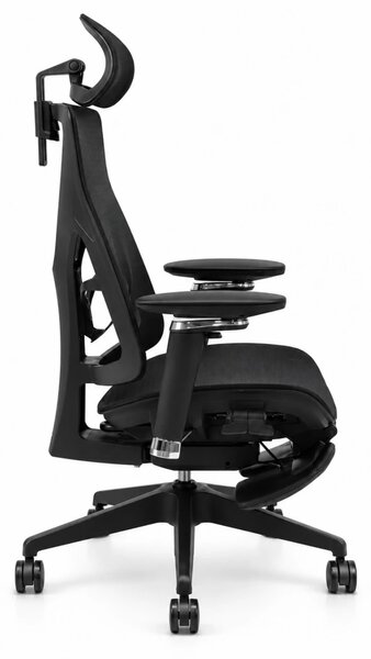 Scaun ergonomic ANEW ARYSE D3, Suport Lombar Trio Dinamic , Cotiere 5D Dual-Axis, Tetieră Reglabilă, Mecanism Sensibil la Greutate cu Seat-Slider, Suport Picioare, Mesh, Negru