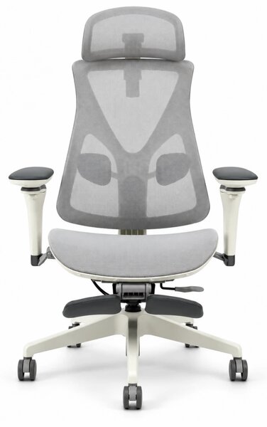 Scaun ergonomic ANEW ARYSE D3, Suport Lombar Trio Dinamic , Cotiere 5D Dual-Axis, Tetieră Reglabilă, Mecanism Sensibil la Greutate cu Seat-Slider, Suport Picioare, Mesh, Gri