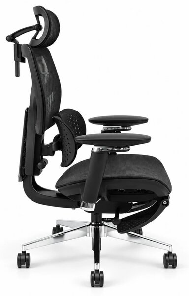 Scaun ergonomic ANEW ARYSE D6, Suport lombar dublu adaptiv 360°, Cotiere 5D, Tetieră 3D, Șezut mesh, Mecanism sensibil la greutate, Bază cromată, Suport pentru picioare, Negru