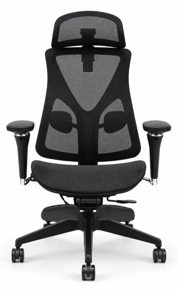 Scaun ergonomic ANEW ARYSE D3, Suport Lombar Trio Dinamic , Cotiere 5D Dual-Axis, Tetieră Reglabilă, Mecanism Sensibil la Greutate cu Seat-Slider, Suport Picioare, Mesh, Negru