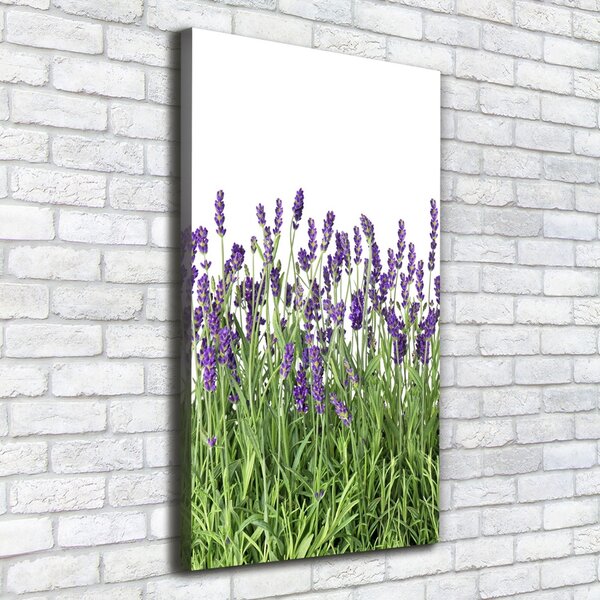Print pe canvas câmp de lavandă