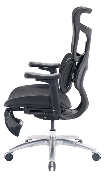 Scaun ergonomic SIHOO S100, cotiere 4D ultra moi, suport lombar adaptiv, spătar reglabil pe inaltime, sezut cu translatie, mecanism multifunctional inclinare/blocare, suport picioare, pivotant, Mesh, Negru