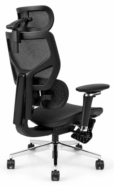 Scaun ergonomic ANEW ARYSE D6, Suport lombar dublu adaptiv 360°, Cotiere 5D, Tetieră 3D, Șezut mesh, Mecanism sensibil la greutate, Bază cromată, Suport pentru picioare, Negru