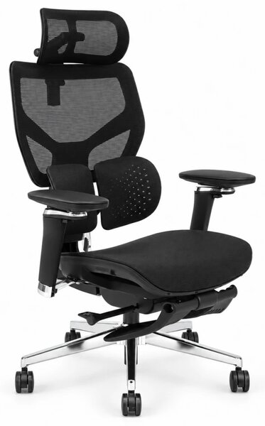 Scaun ergonomic ANEW ARYSE D6, Suport lombar dublu adaptiv 360°, Cotiere 5D, Tetieră 3D, Șezut mesh, Mecanism sensibil la greutate, Bază cromată, Suport pentru picioare, Negru