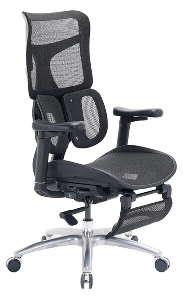 Scaun ergonomic SIHOO S100, cotiere 4D ultra moi, suport lombar adaptiv, spătar reglabil pe inaltime, sezut cu translatie, mecanism multifunctional inclinare/blocare, suport picioare, pivotant, Mesh, Negru