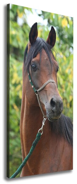 Tablou canvas Portret de un cal