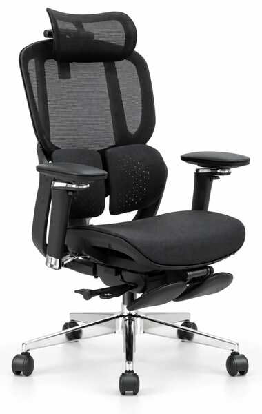 Scaun ergonomic ANEW ARYSE D4 Pro, Suport lombar dual adaptiv 360°, Tetieră 3D, Cotiere 5D, Șezut Glisant Zero-Pressure din Mesh, Suport picioare, Bază metalică, Negru