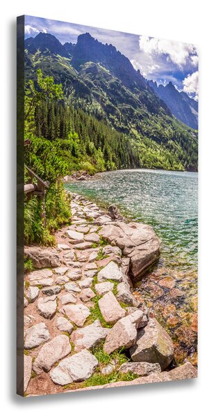Pictură pe pânză Marine ochi Tatry