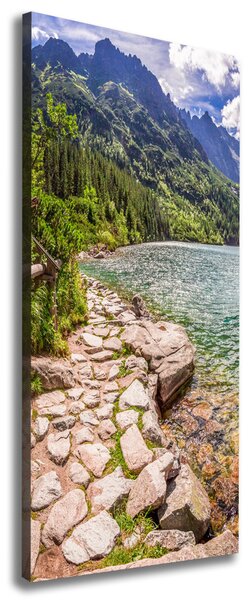 Pictură pe pânză Marine ochi Tatry