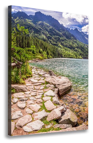 Pictură pe pânză Marine ochi Tatry