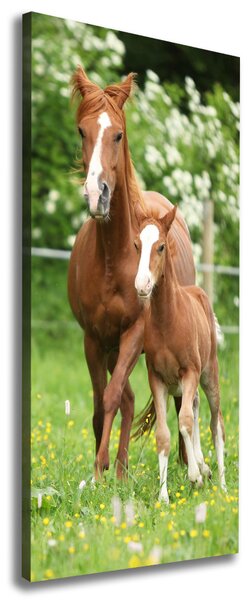 Tablou canvas Mare și mânz