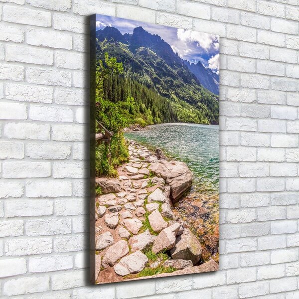 Pictură pe pânză Marine ochi Tatry