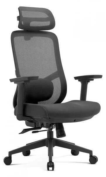 Scaun ergonomic premium Ally-H, spătar reglabil pe înălțime, șezut glisant, suport lombar 2D, tetieră 2D, cotiere 3D, reclinare 125°, Mesh + Textil, Negru
