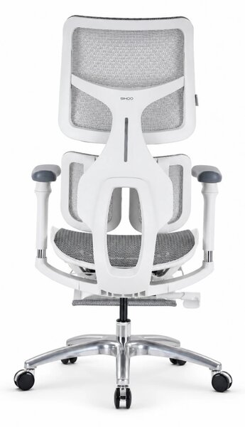 Scaun ergonomic SIHOO S100, cotiere 4D ultra moi, suport lombar adaptiv, spătar reglabil pe inaltime, sezut cu translatie, mecanism multifunctional inclinare/blocare, suport picioare Mesh, pivotant, Mesh, Gri
