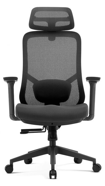Scaun ergonomic premium Ally-H, spătar reglabil pe înălțime, șezut glisant, suport lombar 2D, tetieră 2D, cotiere 3D, reclinare 125°, Mesh + Textil, Negru