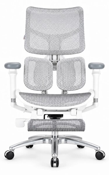 Scaun ergonomic SIHOO S100, cotiere 4D ultra moi, suport lombar adaptiv, spătar reglabil pe inaltime, sezut cu translatie, mecanism multifunctional inclinare/blocare, suport picioare Mesh, pivotant, Mesh, Gri