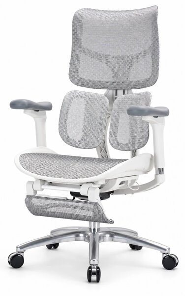 Scaun ergonomic SIHOO S100, cotiere 4D ultra moi, suport lombar adaptiv, spătar reglabil pe inaltime, sezut cu translatie, mecanism multifunctional inclinare/blocare, suport picioare Mesh, pivotant, Mesh, Gri