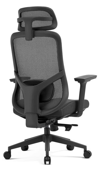 Scaun ergonomic premium Ally-H, spătar reglabil pe înălțime, șezut glisant, suport lombar 2D, tetieră 2D, cotiere 3D, reclinare 125°, Mesh + Textil, Negru