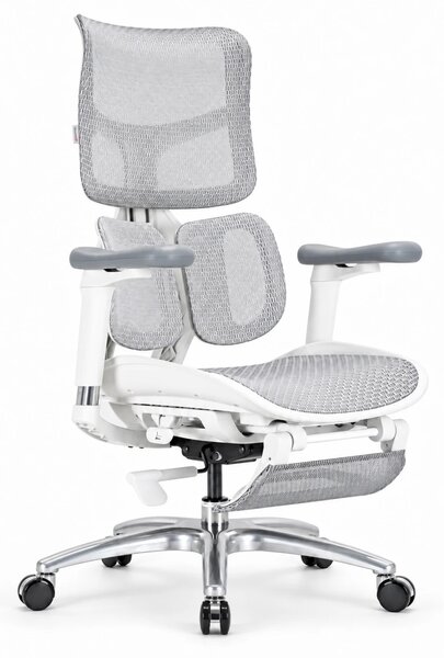 Scaun ergonomic SIHOO S100, cotiere 4D ultra moi, suport lombar adaptiv, spătar reglabil pe inaltime, sezut cu translatie, mecanism multifunctional inclinare/blocare, suport picioare Mesh, pivotant, Mesh, Gri