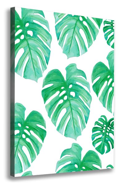 Tablouri tipărite pe pânză Monstera