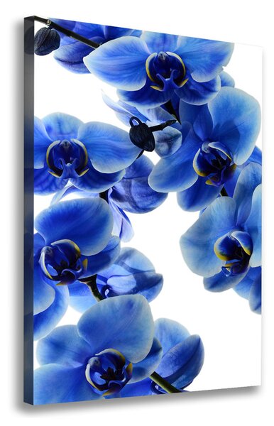 Tablou canvas albastru orhidee