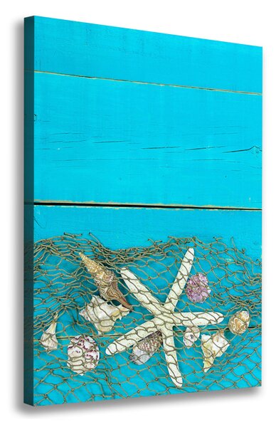 Tablou pe pânză canvas Scoici și stea de mare