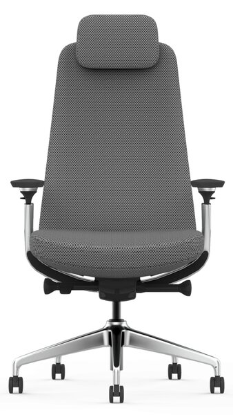 Scaun Ergonomic Premium cu Tetieră Reglabilă, Suport Lombar Ajustabil, Cotiere 3D, Mecanism Multifuncțional și Bază din Aluminiu, Gri