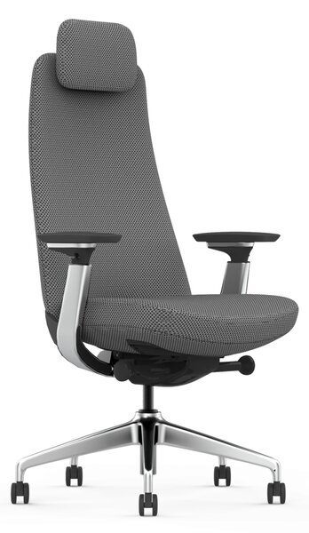 Scaun Ergonomic Premium cu Tetieră Reglabilă, Suport Lombar Ajustabil, Cotiere 3D, Mecanism Multifuncțional și Bază din Aluminiu, Gri