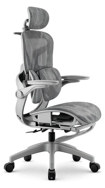 AEROMAX SLIDING Scaun ergonomic, Sezut Translatie, Cotiere Rabatabile, Tetiera 3D, Suport lombar dublu ajustabil, Suport picioare, Umeras, Full Mesh, Gri