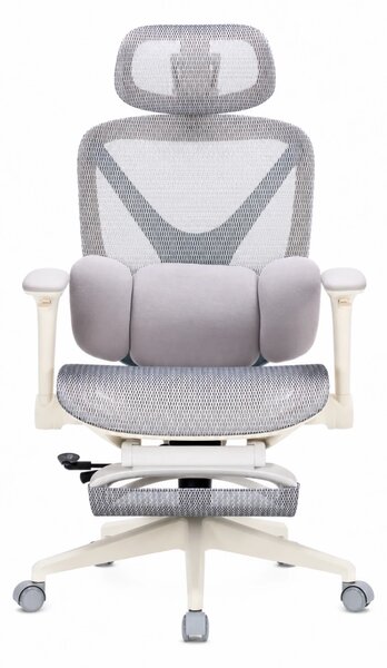 DeluxStar YX-977 NEXOR PRO MESH – Scaun Ergonomic cu Suport Lombar 3D, Tetieră 3D, Cotiere 4D, Șezut Glisant, Înclinare 140°, Suport pentru Picioare, Mesh, Gri
