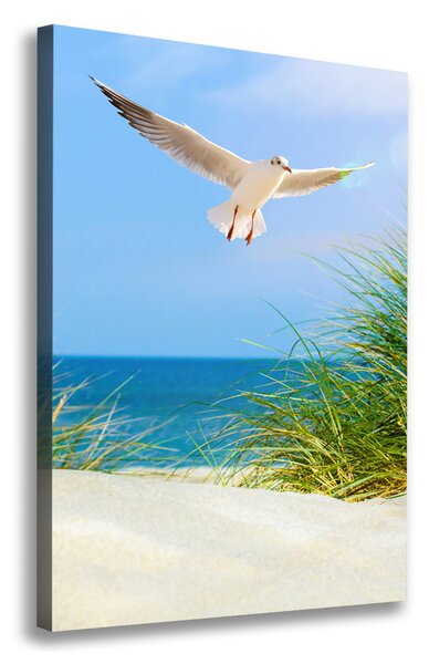 Tablou canvas Seagull peste dune