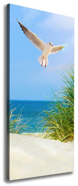 Tablou canvas Seagull peste dune