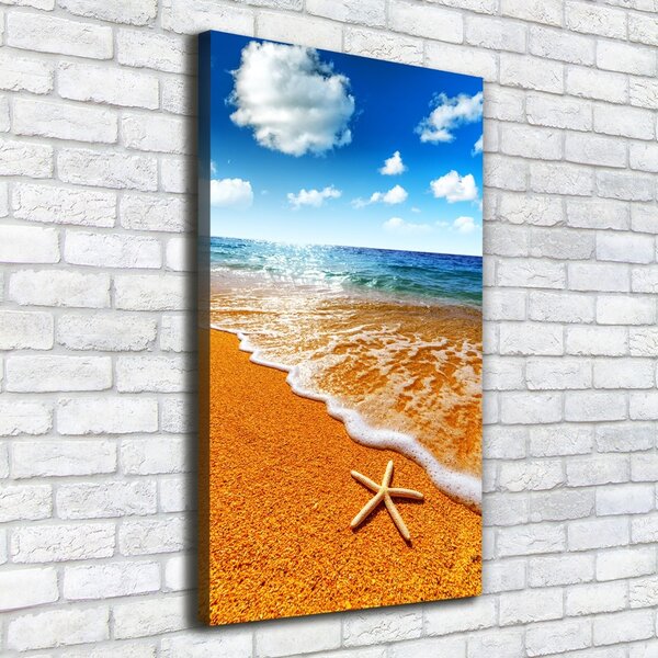 Print pe canvas Starfish pe plajă