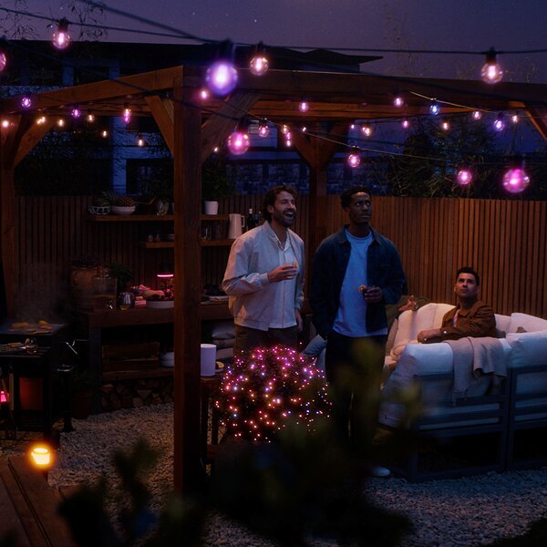 Ghirlande Luminoase Philips Hue, Festavia Globe, reglabil, Negru, Balcon, Metal, Modern