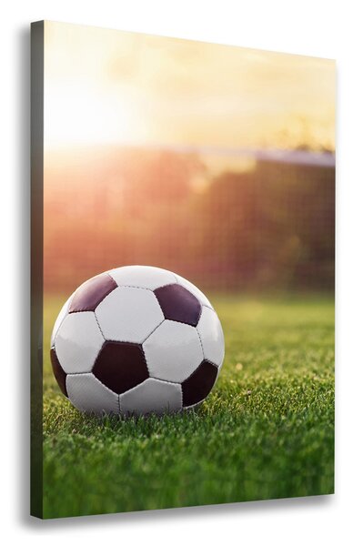 Tablou pe pânză Fotbal