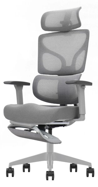 AEROFORM PRO – Scaun Ergonomic Premium, Suport Lombar cu arc, Cotiere 3D, Tetieră reglabilă, Șezut Glisant, Suport pentru picioare extensibil, Gri