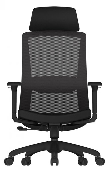 Scaun ergonomic SIHOO M86C –Suport lombar și Cotiere reglabile, Tetieră reglabilă, Mecanism Synchro cu poziție de blocare, Spătar înalt din plasă respirabilă, Rotativ, Negru