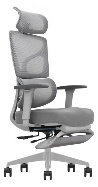 AEROFORM PRO – Scaun Ergonomic Premium, Suport Lombar cu arc, Cotiere 3D, Tetieră reglabilă, Șezut Glisant, Suport pentru picioare extensibil, Gri