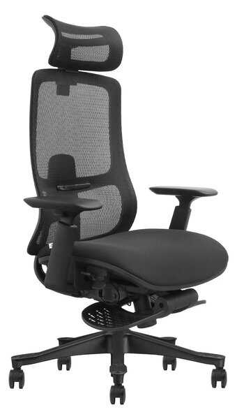 VANTIS PRO – Scaun Ergonomic Premium cu Spătar Înalt Regalbil pe înălțime în 5 poziții, Șezut glisant, Cotiere 3D, Suport pentru picioare, Mesh, Negru
