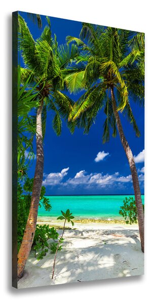 Tablou pe pânză canvas plaja tropicala