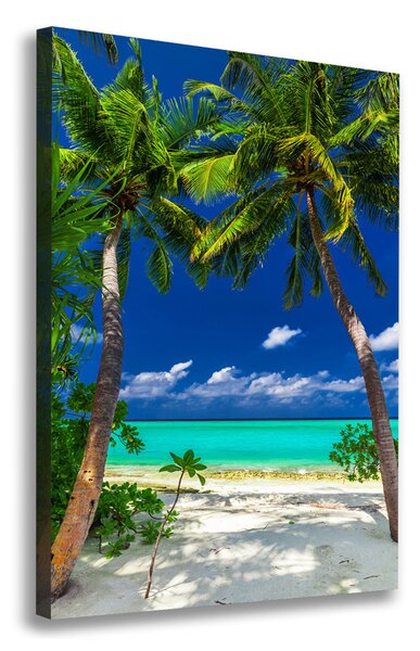 Tablou pe pânză canvas plaja tropicala