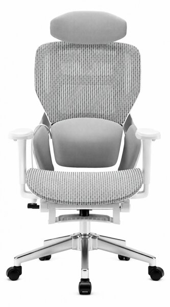 MONZA E16 Executive – Scaun Ergonomic Premium, Reglaje Avansate, Suport Lombar Reglabil pe Înălțime, Tetieră Reglabilă, Cotiere 3D, Șezut Extensibil, Reclinare 135°, Suport pentru Picioare și Bază Metalică, Mesh, Gri